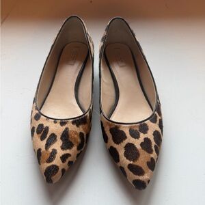 Cole Haan Leopard Print Pointed Toe Women’s Flats/Low Heels Sz 8.5B